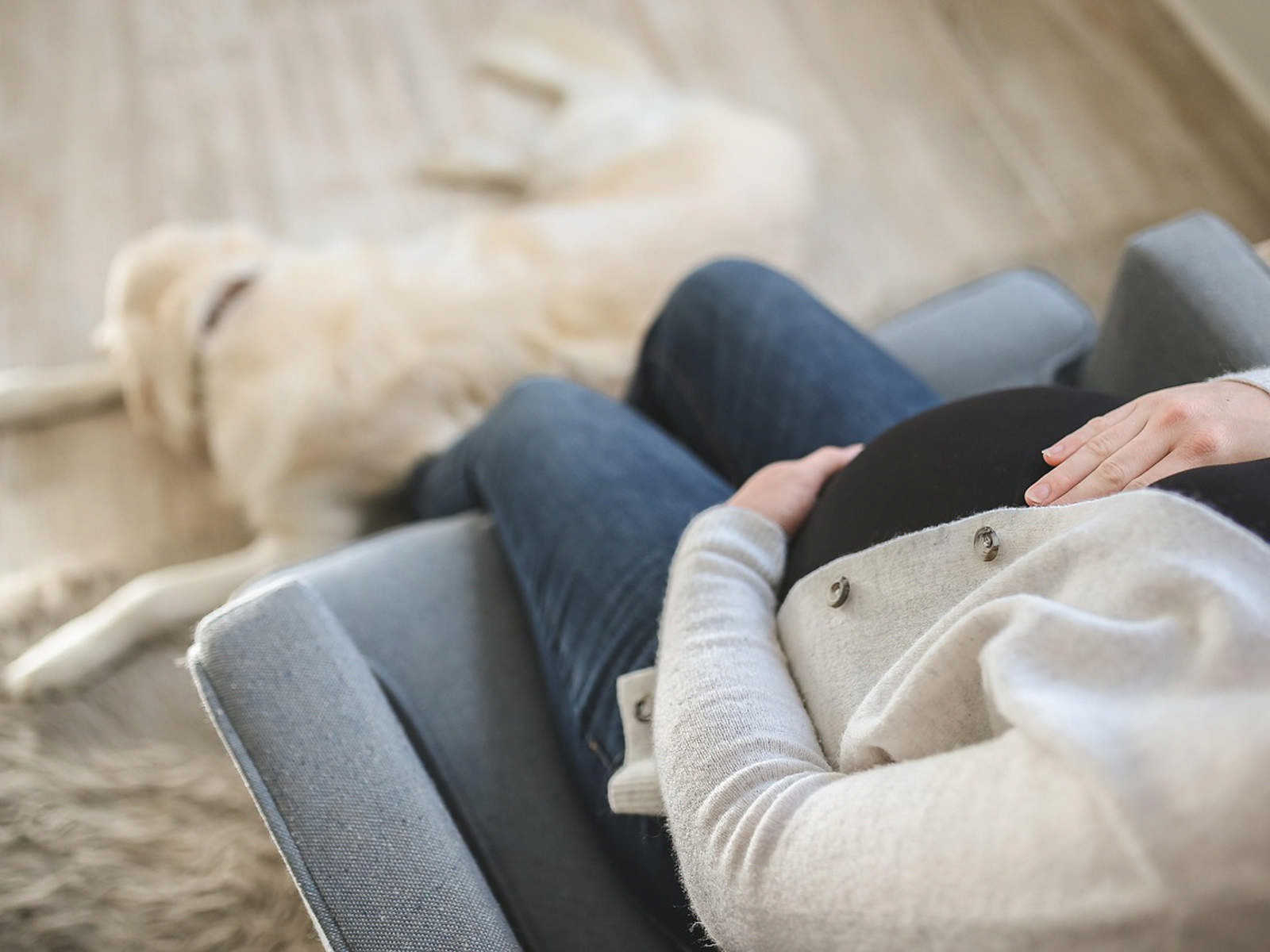 Gravid kvinde i lænestol med golden retriever ved fødderne